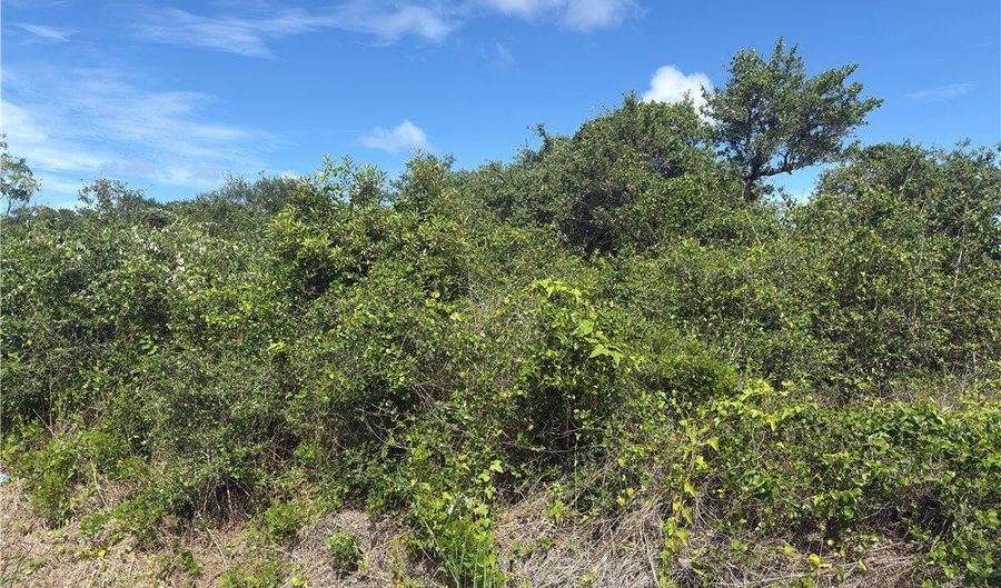 S 10th Street lot 1 2, Aransas Pass, TX 78336 - 0 Beds, 0 Bath