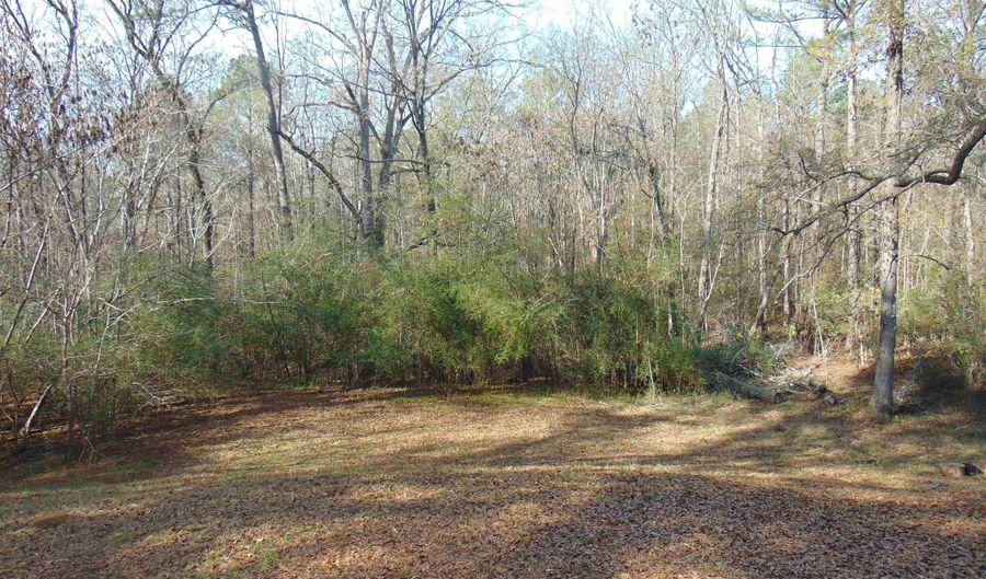 7223 SILVER Ln, Adger, AL 35006 - 3 Beds, 2 Bath