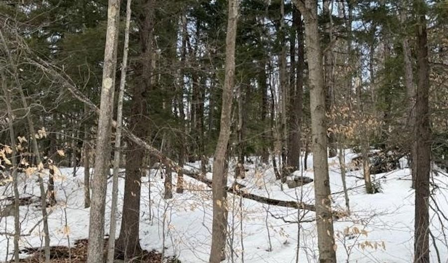 Map 6 Lot 103 Route 16, Albany, NH 03818 - 0 Beds, 0 Bath