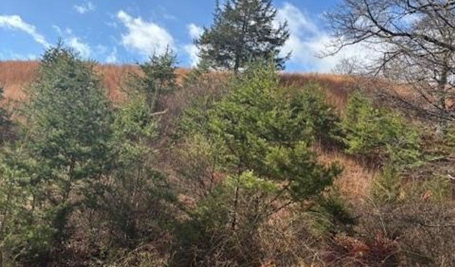 EWING DRIVE, Baker, WV 26801 - 0 Beds, 0 Bath