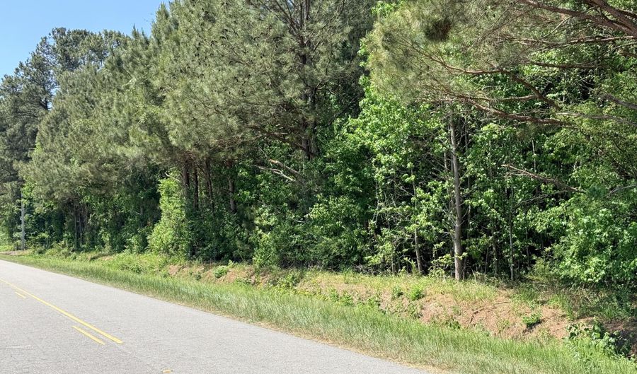 Mt Carmel Church Road lot 2, Autryville, NC 28318 - 0 Beds, 0 Bath