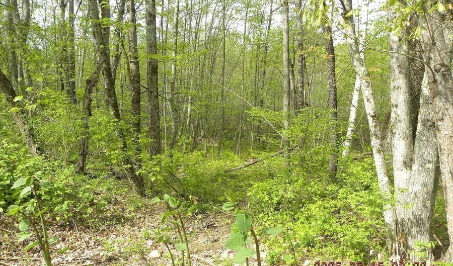 Lot 35 Bennett Road, Alfred, ME 04002 - 0 Beds, 0 Bath