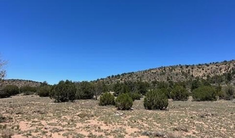 307 Off Of Old Deputy Shortline, Ash Fork, AZ 86320 - 0 Beds, 0 Bath