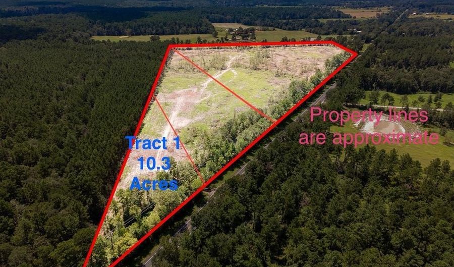 R53358 Tract 1 HWY 94, Apple Springs, TX 75926 - 0 Beds, 0 Bath