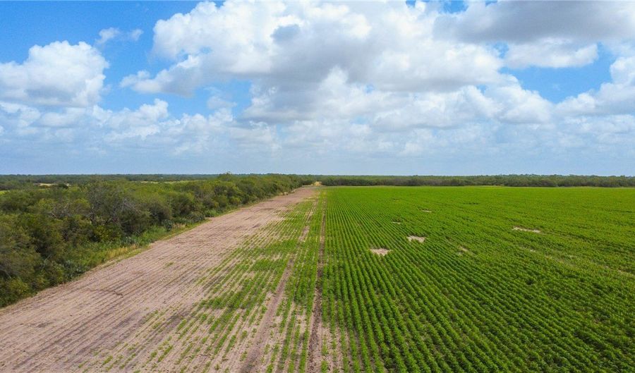 WBD N Hwy 281, Alice, TX 78332 - 0 Beds, 0 Bath