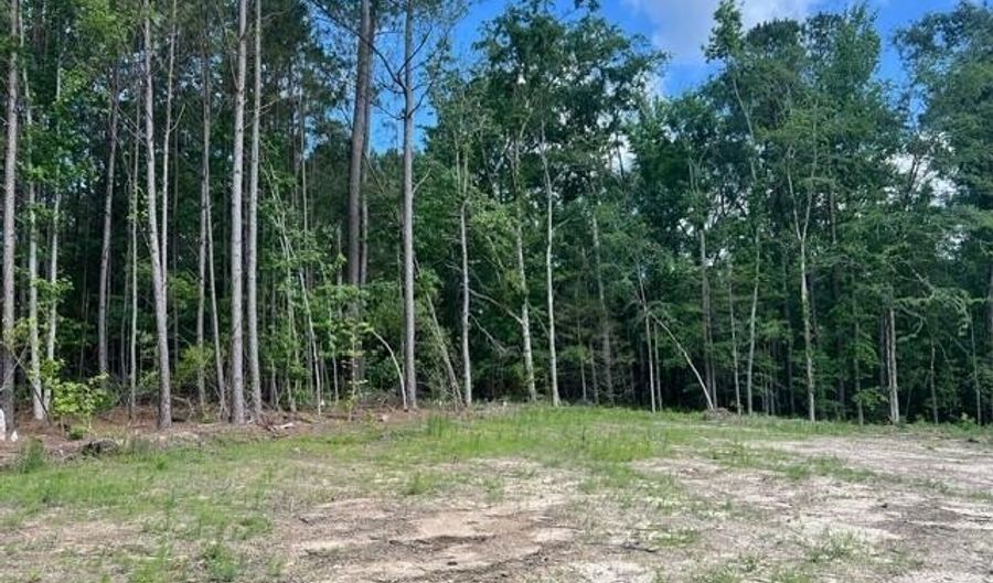 3199 DOZIER Rd, Appling, GA 30802 - 0 Beds, 0 Bath