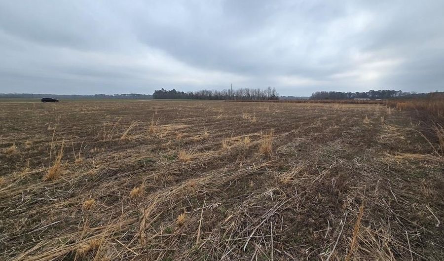 00 Manville Saint Charles Rd LOT 6B, Bishopville, SC 29010 - 0 Beds, 0 Bath