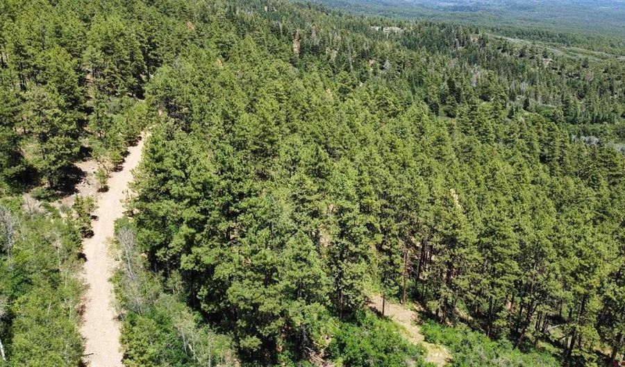 166 Jackalope Dr, Bayfield, CO 81122 - 0 Beds, 0 Bath