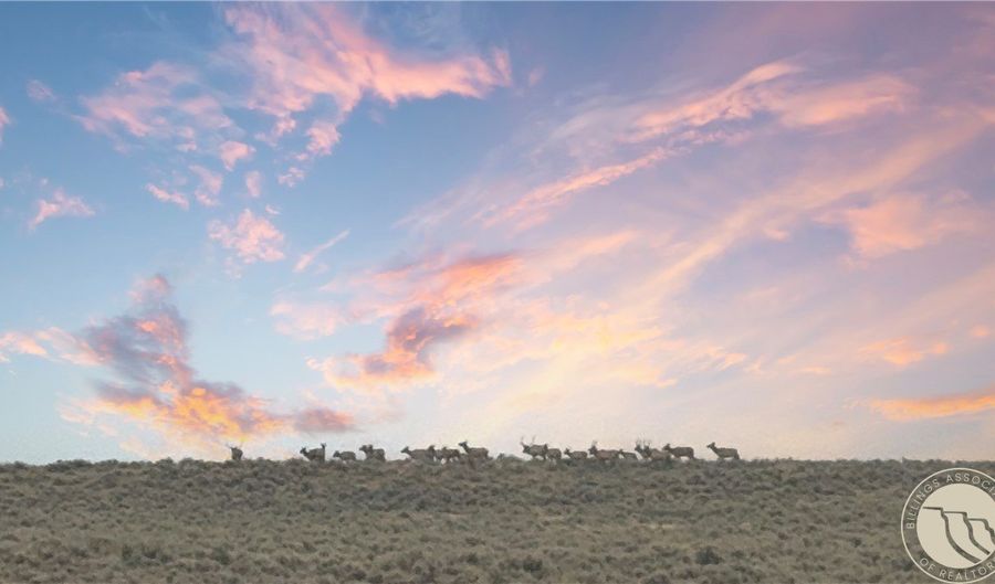 300 Acres N Dry Creek Rd, Bridger, MT 59014 - 0 Beds, 0 Bath