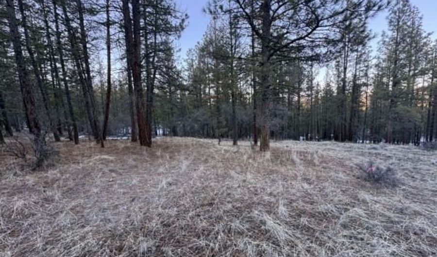 Bobcat Circle, Beatty, OR 97621 - 0 Beds, 0 Bath