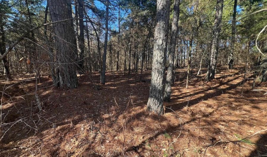 wells rd, Bald Knob, AR 72010 - 0 Beds, 0 Bath
