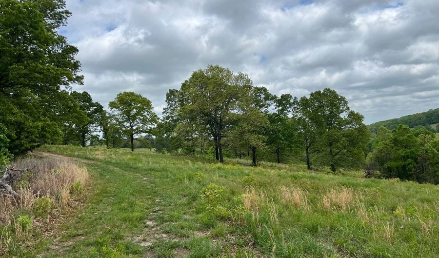 Co Rd 321 Route 5, Ava, MO 65608 - 0 Beds, 0 Bath