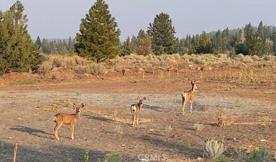 0 Bridle Rd, Alturas, CA 96101 - 0 Beds, 0 Bath