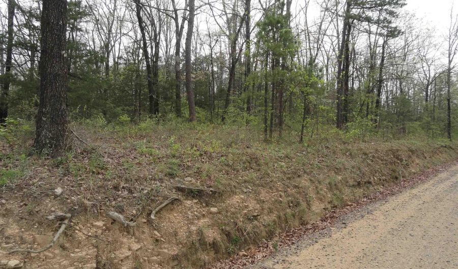 Long Branch Lane, Bee Branch, AR 72013 - 0 Beds, 0 Bath