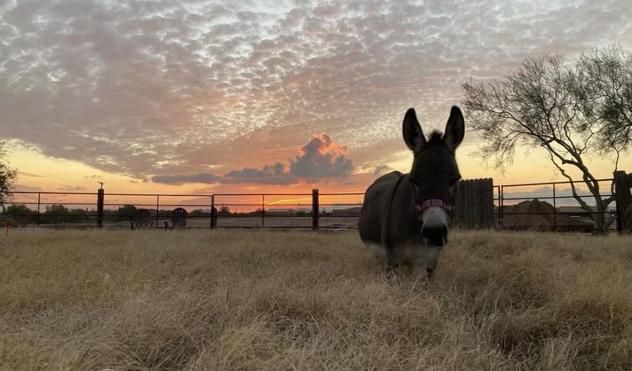 5824 E MONTGOMERY Rd, Cave Creek, AZ 85331 - 3 Beds, 2 Bath