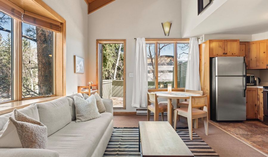125 E Hyman Ave 1A, Aspen, CO 81611 - 2 Beds, 2 Bath
