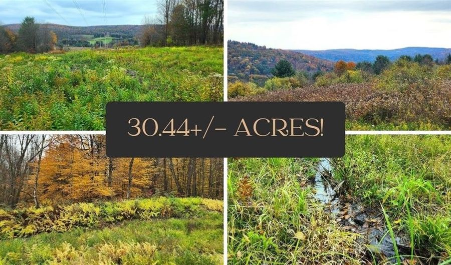 Lot 1 & 10 State Hwy 41, Afton, NY 13730 - 0 Beds, 0 Bath
