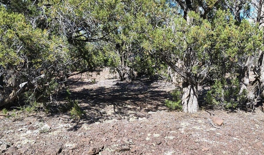 0 Westwood Rnch, Ash Fork, AZ 86320 - 0 Beds, 0 Bath