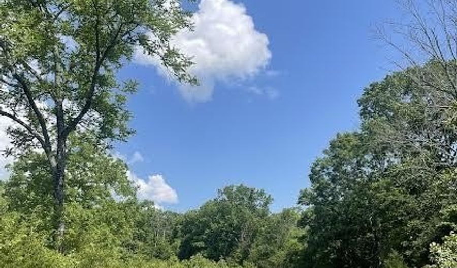 Co Rd 304, Ava, MO 65608 - 0 Beds, 0 Bath