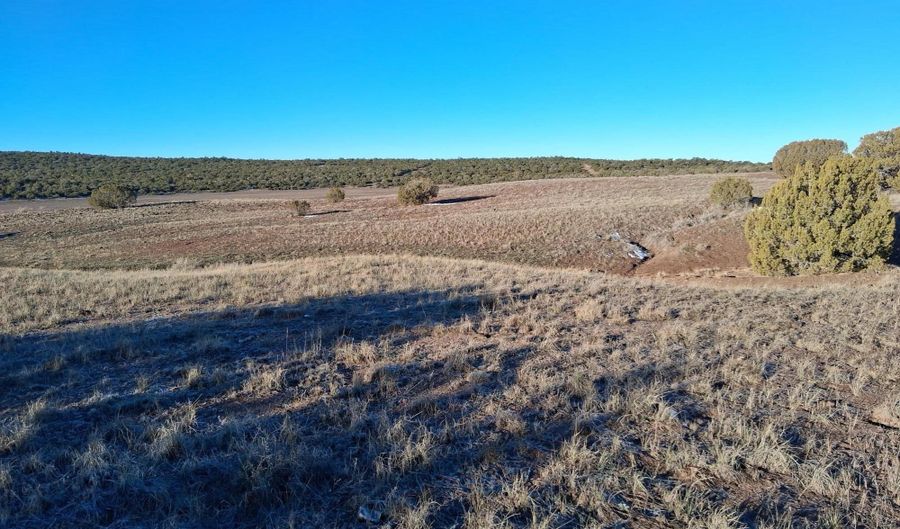 92 County Road 8223, Concho, AZ 85924 - 0 Beds, 0 Bath