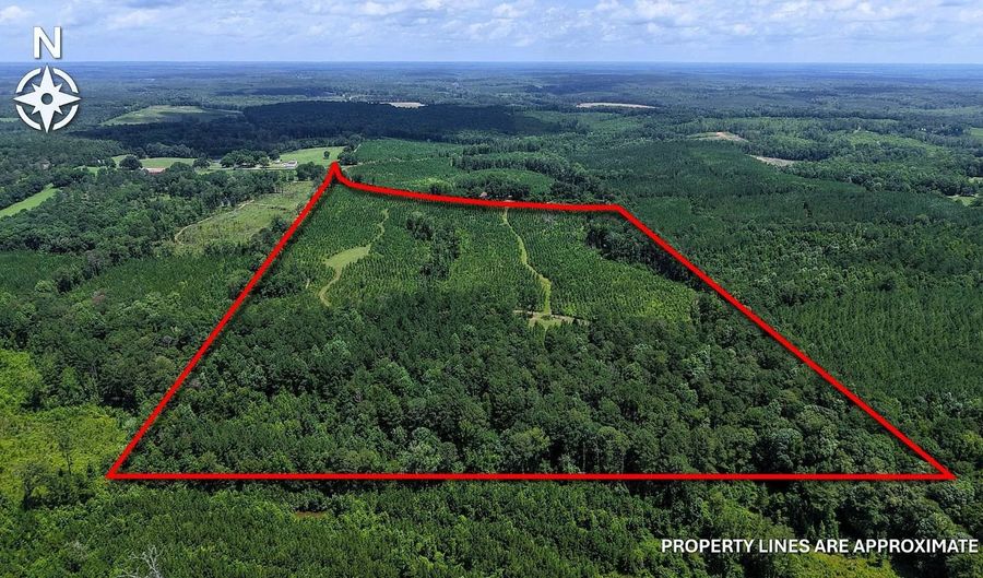 County Road 25, Banks, AL 36005 - 0 Beds, 0 Bath