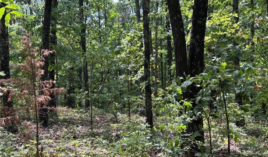 Cranbrook Lane lot 21, Bella Vista, AR 72714 - 0 Beds, 0 Bath