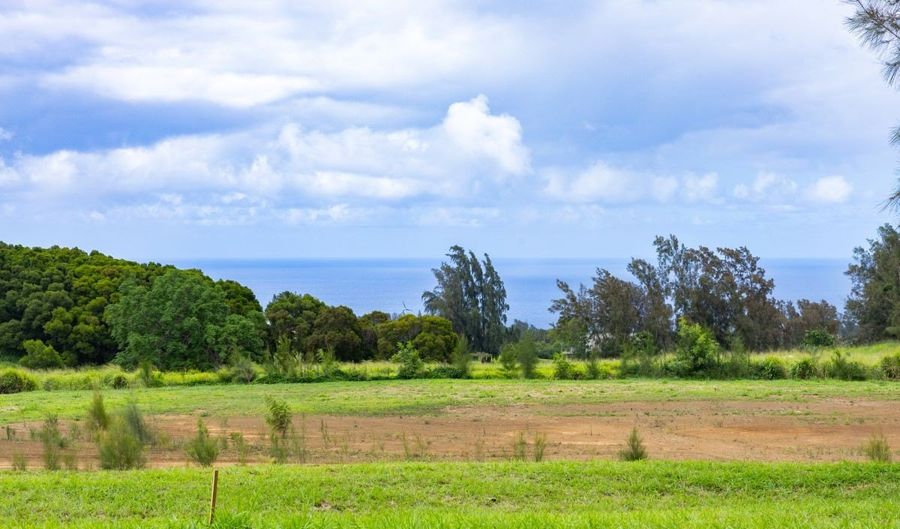 54-1749 PAIPO KANE Rd, Kapaau, HI 96755 - 0 Beds, 0 Bath