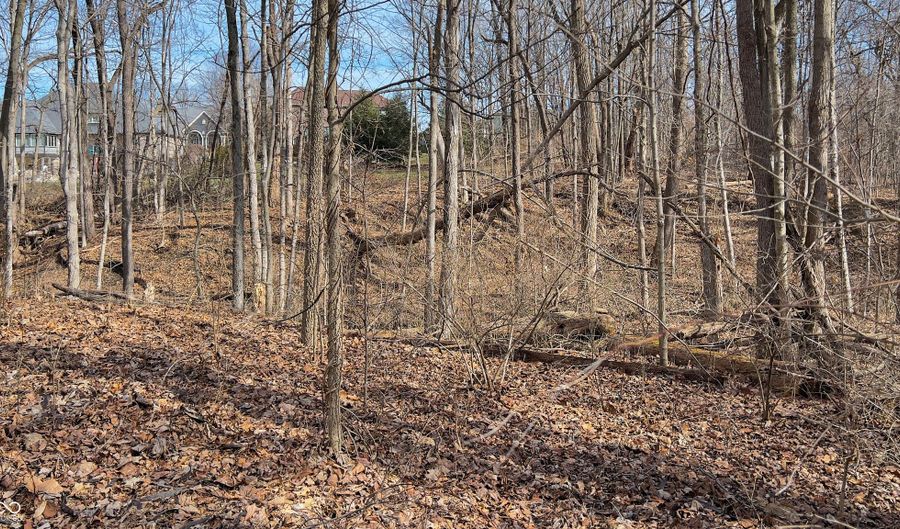 737 Bracknell Dr, Avon, IN 46123 - 4 Beds, 3 Bath