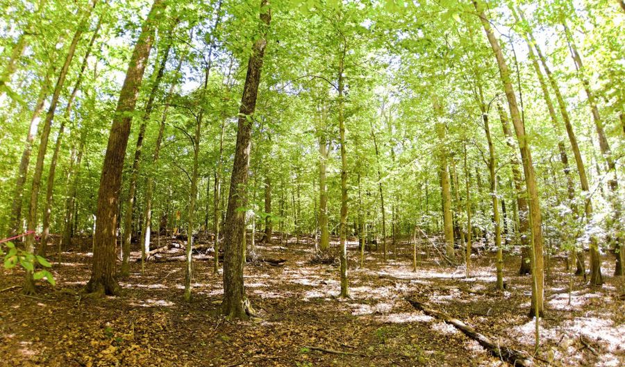 LAUREL Drive, Accokeek, MD 20607 - 0 Beds, 0 Bath