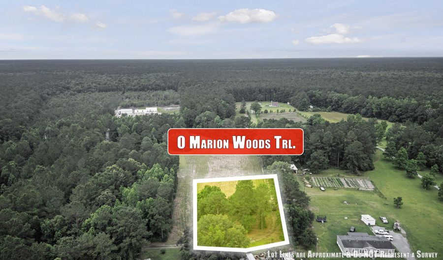 1 Marion Woods Trl, Bonneau, SC 29431 - 0 Beds, 0 Bath