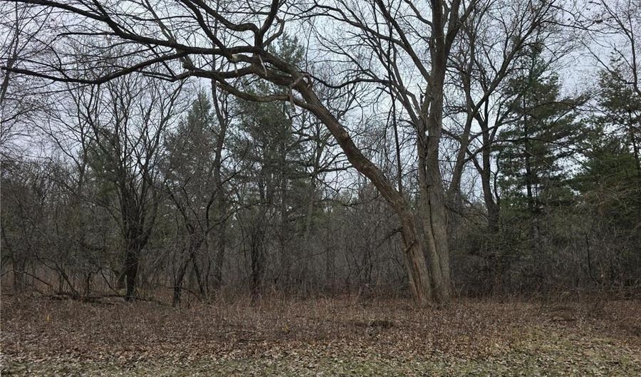 L2 B1 131st Street NW, Baldwin Twp., MN 55398 - 0 Beds, 0 Bath