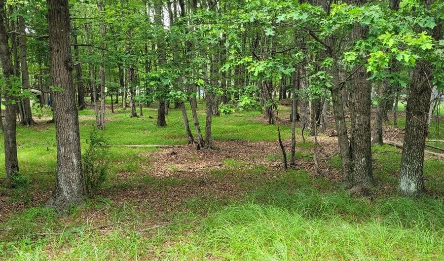 203 Foothill Rd, Albrightsville, PA 18210 - 0 Beds, 0 Bath