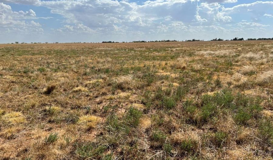 4111 County Road 5300, Abernathy, TX 79311 - 0 Beds, 0 Bath