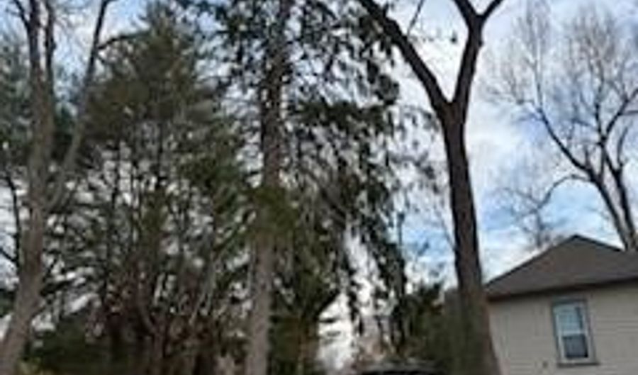 99999 Dalton St, Asheville, NC 28803 - 0 Beds, 0 Bath