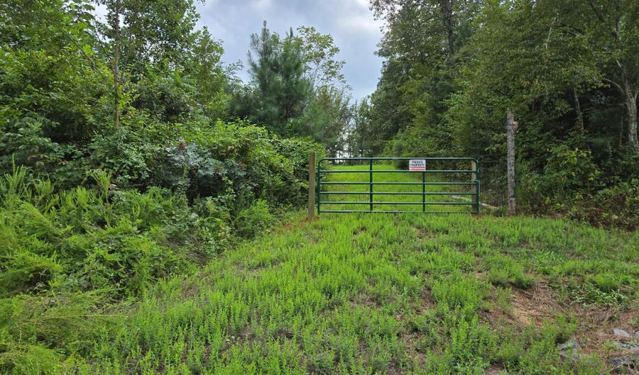 WEAVER HOLLOW Road, Banco, VA 22711 - 0 Beds, 0 Bath