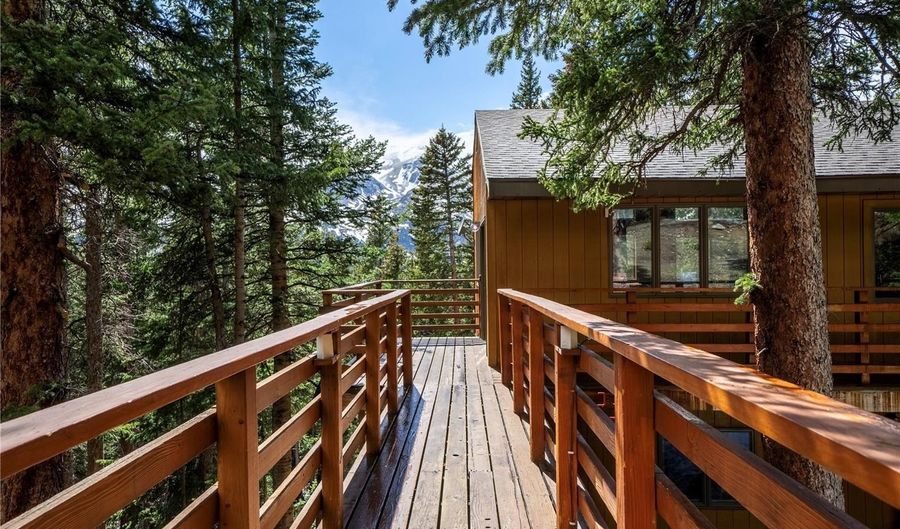 307 Lakeview Dr, Alma, CO 80420 - 3 Beds, 3 Bath