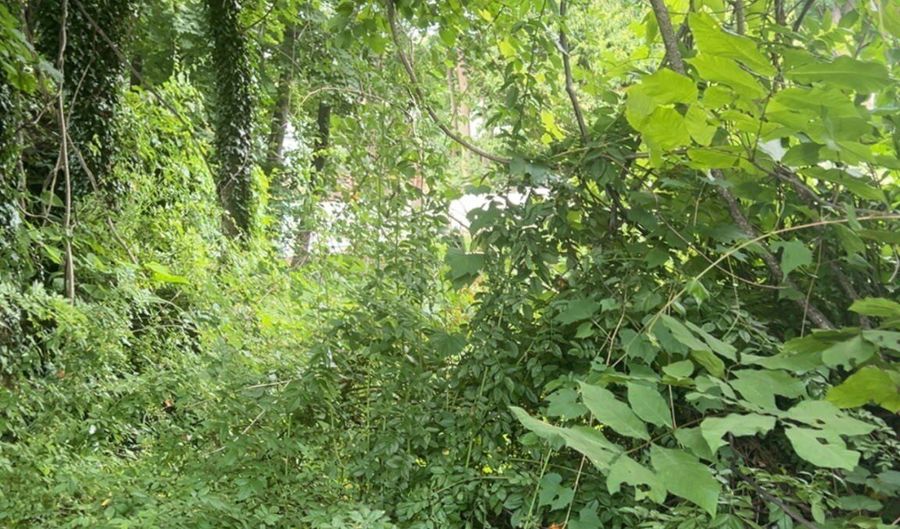 38 Porter Ct, Bristol, CT 06010 - 0 Beds, 0 Bath