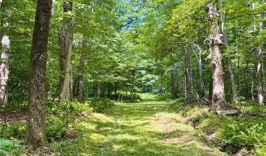 253 Davis Hollow Rd, Andes, NY 13731 - 0 Beds, 0 Bath