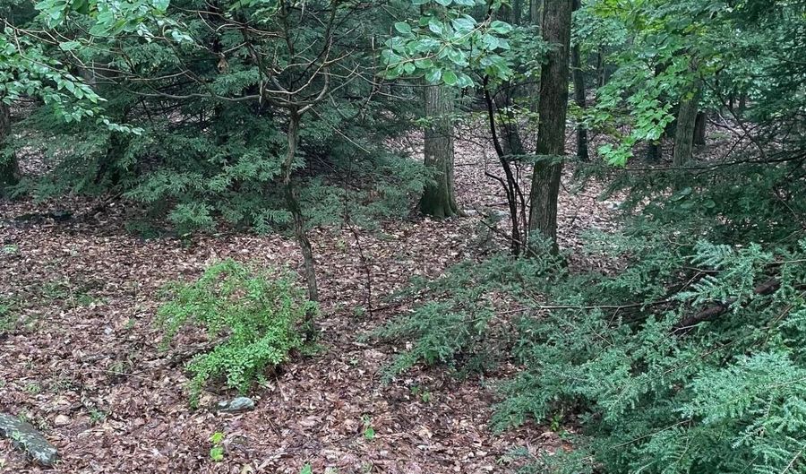 70 Woodland Rd, Albrightsville, PA 18210 - 0 Beds, 0 Bath
