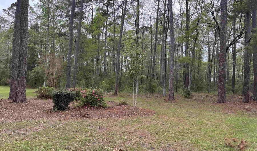 Lot 5 S Persimmon Ford Rd, Johnsonville, SC 29555 - 0 Beds, 0 Bath