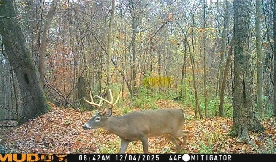 1 8 Miles Due South Down Anding Oil City Rd, Bentonia, MS 39040 - 0 Beds, 0 Bath