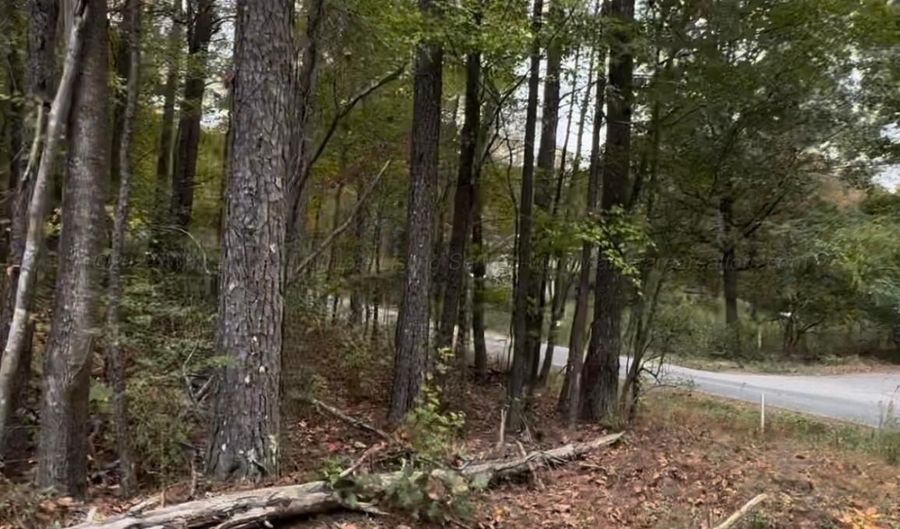 0 COUNTY ROAD 3964, Arley, AL 35541 - 0 Beds, 0 Bath