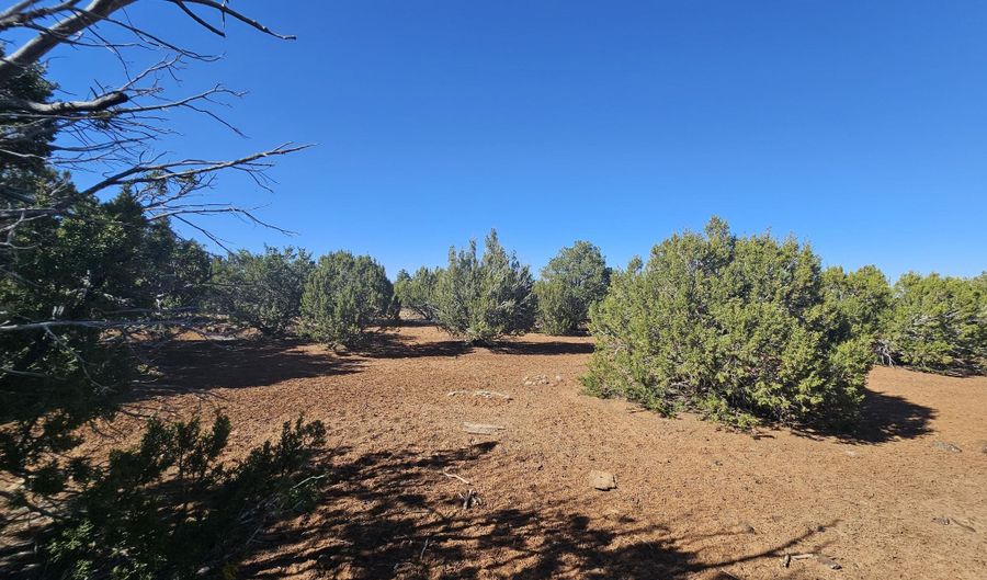 21 Co Rd 8032 # 8032, Concho, AZ 85924 - 0 Beds, 0 Bath