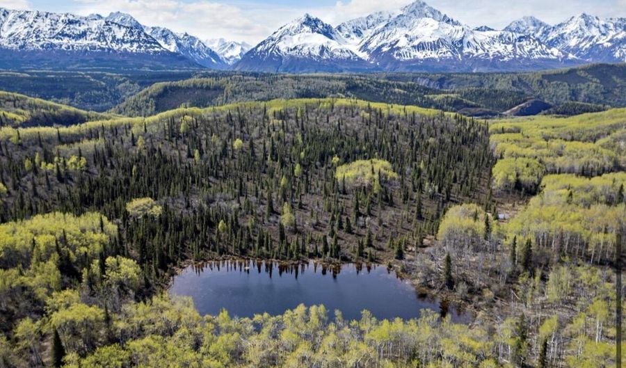 B005 Packsaddle Road, Chickaloon, AK 99674 - 0 Beds, 0 Bath