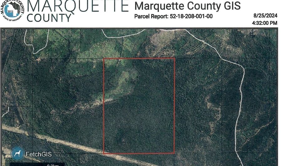 Co Rd SY, Arnold, MI 49819 - 0 Beds, 0 Bath