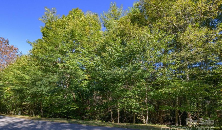 White Fox Lane lot 37, Banner Elk, NC 28604 - 0 Beds, 0 Bath