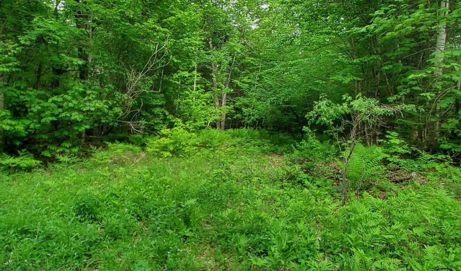 Map 14 lot 50, Andover, ME 04216 - 0 Beds, 0 Bath