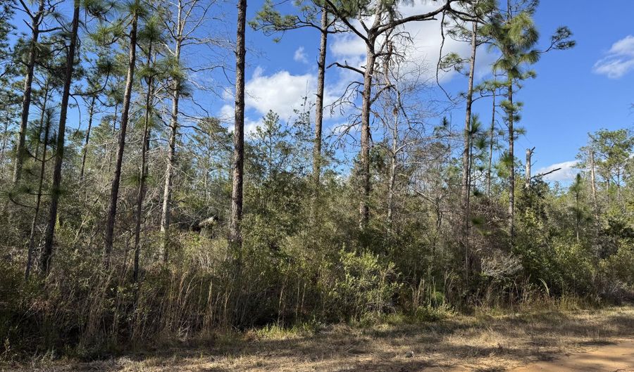 Grand Mesa Avenue, Alford, FL 32420 - 0 Beds, 0 Bath