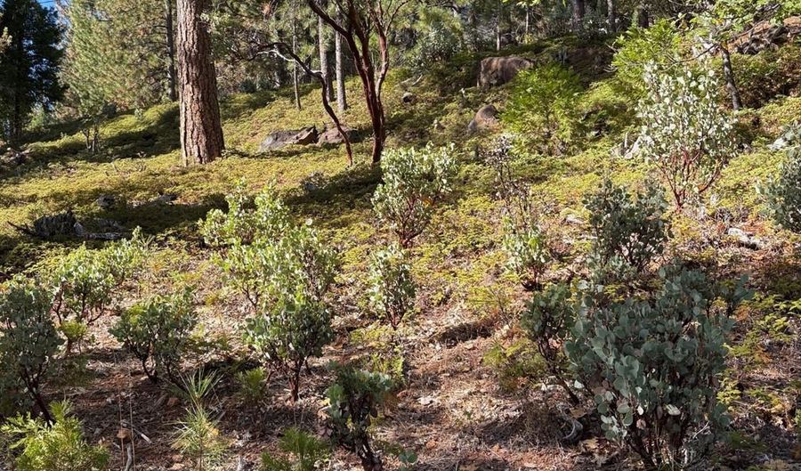 1984 Pine Cone Dr, Arnold, CA 95223 - 0 Beds, 0 Bath