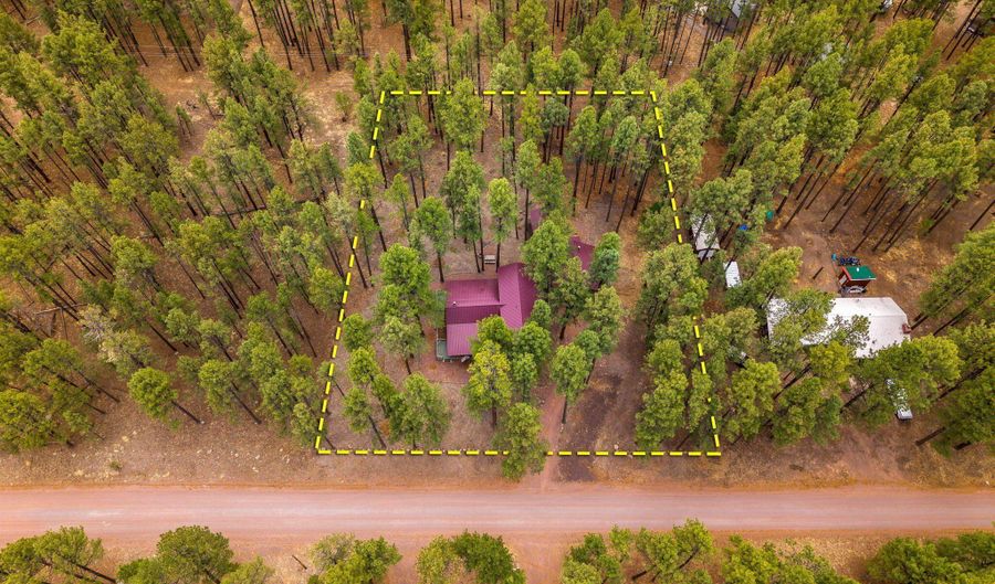 8 County Road 2267, Alpine, AZ 85920 - 3 Beds, 2 Bath
